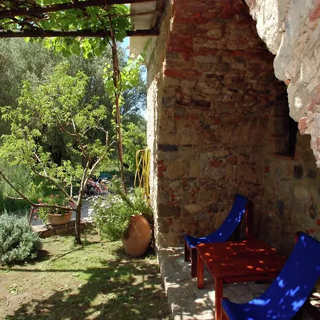 Villa In Velia Only 2 Steps Away From The Sea