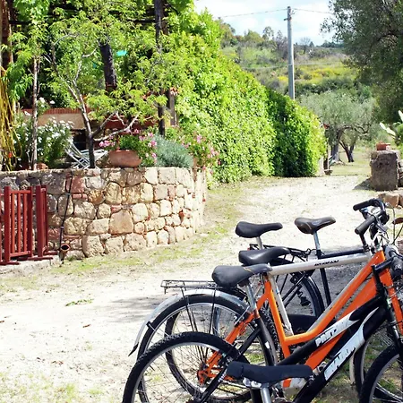 In Velia Only 2 Steps Away From The Sea *